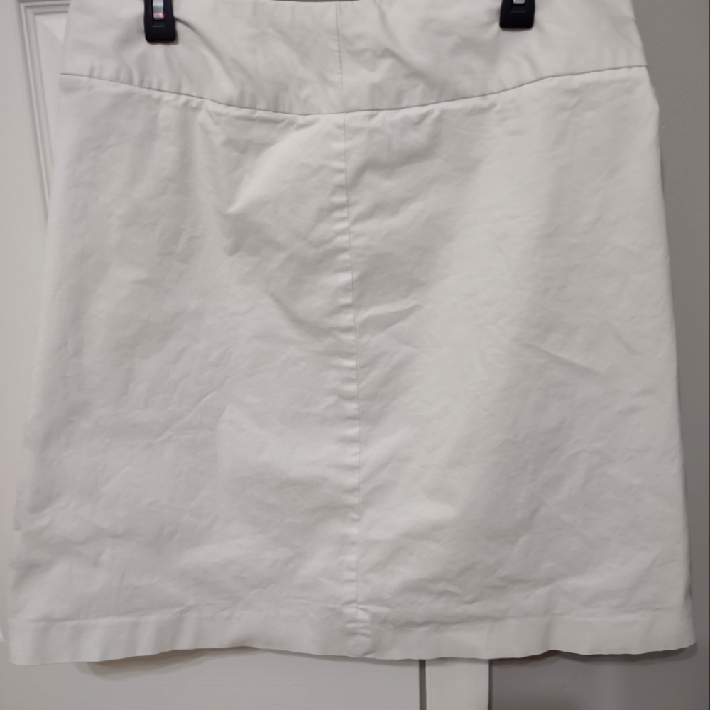 Hannah Jones skirt